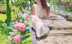 海贼王分集剧情介绍